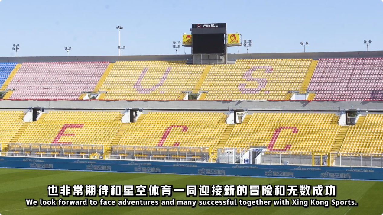 中野主导 中野主导